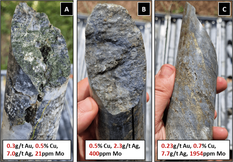 Figure 15: Sceptre East drill core showing: Vuggy quartz vein infilled with chalcopyrite [A – OEDD-42 64.1m], Molybdenite – Chalcopyrite – Pyrite mineralisation. Molybdenite can commonly develop along foliation and fractures [B - OEDD43 140m] and Chalcopyrite – Pyrite – Molybdenite mineralization associated with silica-sericite alteration [C-OEDD 43 157m].