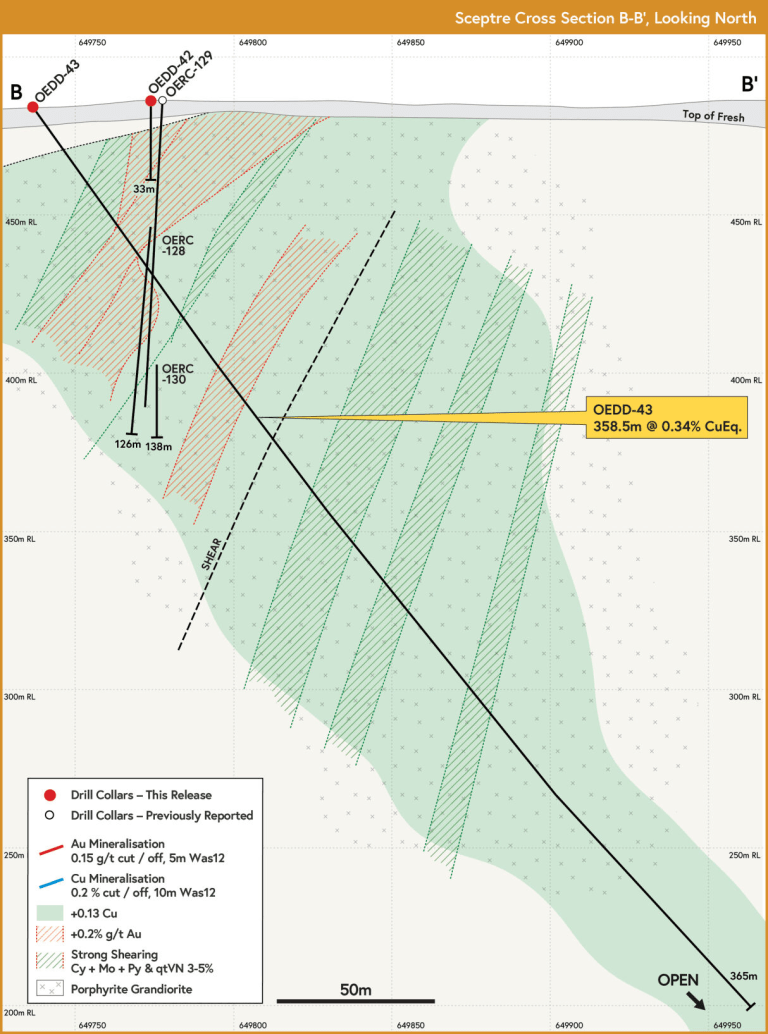 Figure 17: Drill section for OEDD-43 at Sceptre East – 358.5m of open mineralisation at 0.34% Cu equivalent.