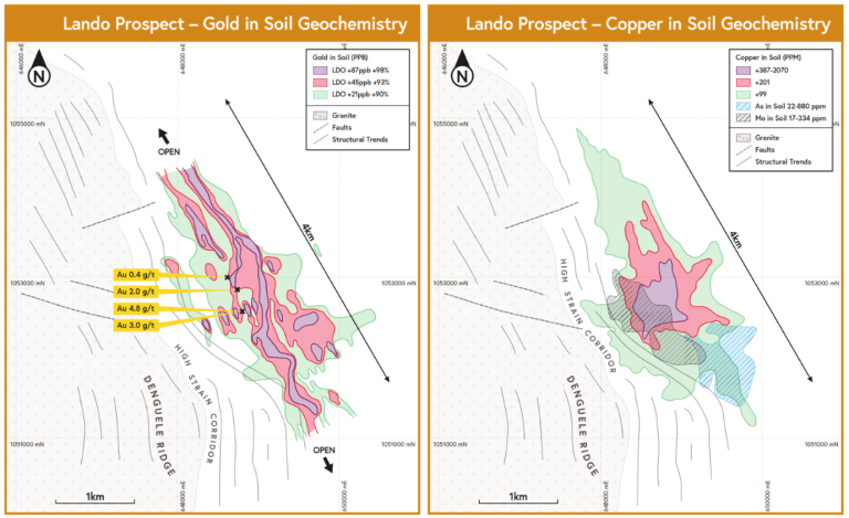 Figure 18: Lando gold and copper soil geochemistry with selected gold anomalous rock chip samples from mapping in the prospect area.